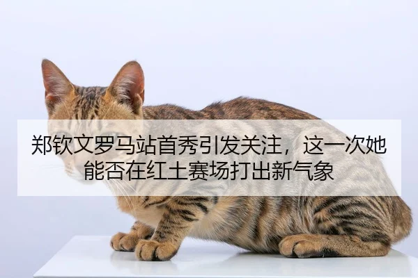 郑钦文罗马站首秀引发关注，这一次她能否在红土赛场打出新气象