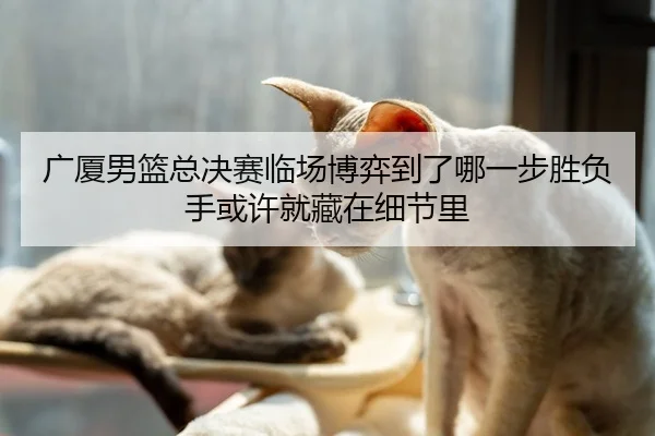 guang-sha-nan-lan-zong-jue-sai-lin-chang-bo-yi-dao-le-na-yi-bu-sheng-fu-shou-huo-xu-jiu-cang-zai-xi-jie-li-3-620.jpg